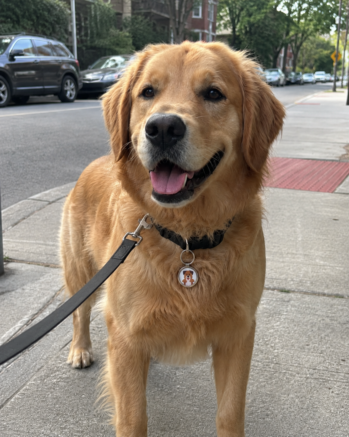 PetCarts Smart NFC Pet Tag — Never Lose  Your Pet Again 🐾